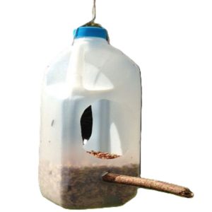 Milk Jug Bird Feeder