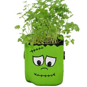 Plastic Bottle Planters