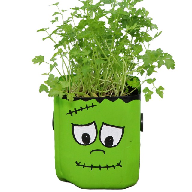 Plastic Bottle Planters